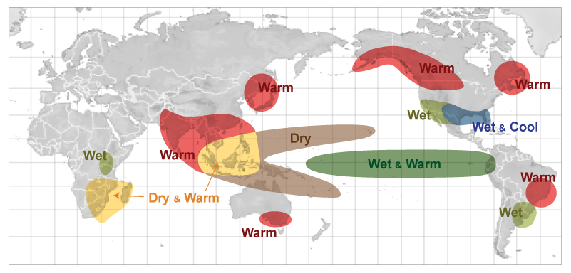 Dec-Feb impact of El Nino